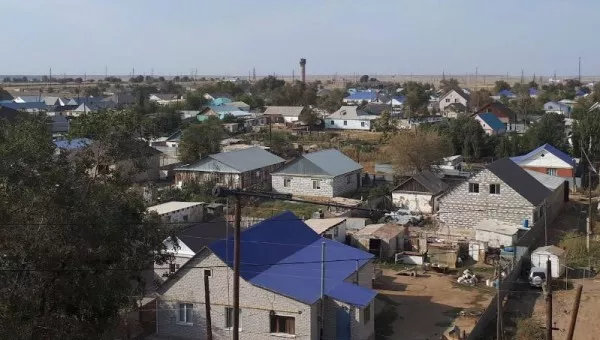 Алга