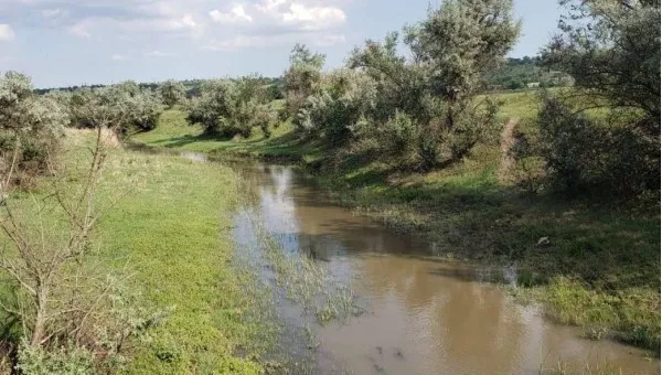 Арциз