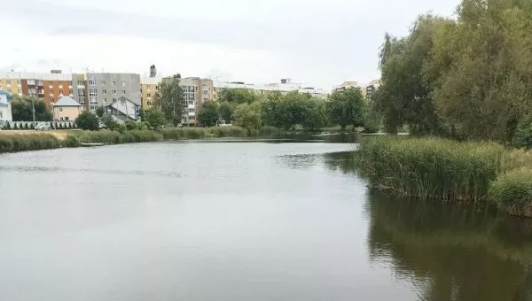 Бородянка