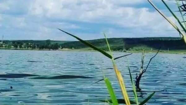 Комрат
