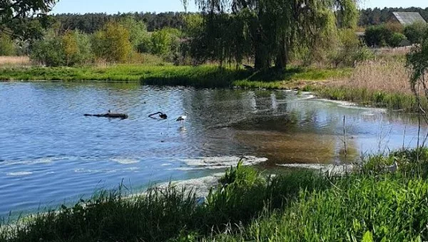 Горенка