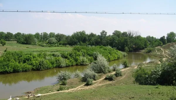 Река Жижия
