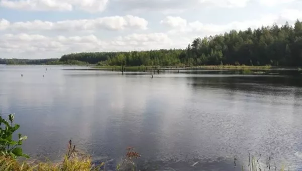 Кавголовское озеро
