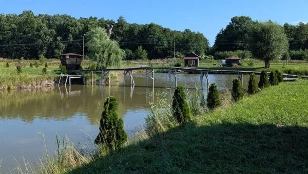Киверцы