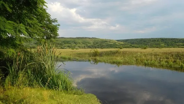 Река Кодима
