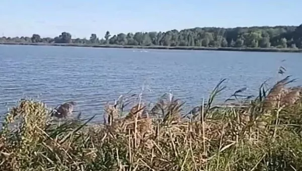 Конотоп