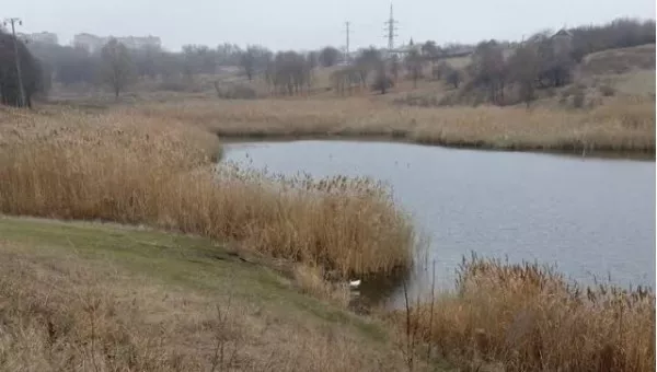 Лозовая