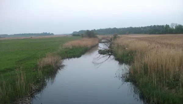 Река Луга