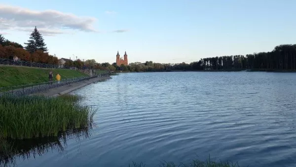 Миоры