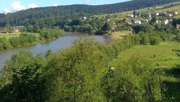Новый Кропивник