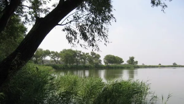 Река Самара