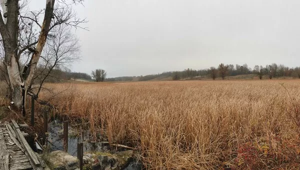 Река Шполка