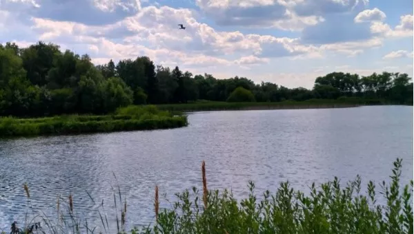 Сквира