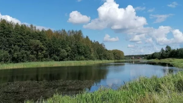 Сморгонь