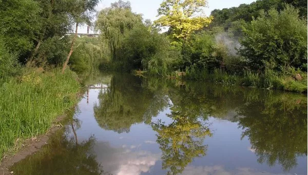 Река Смотрич