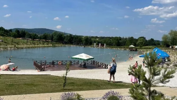 Сосна Парк