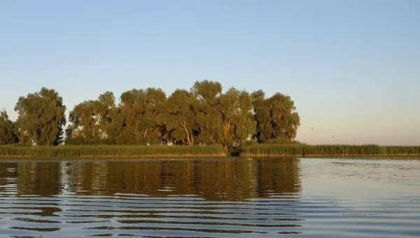 Страхолесье