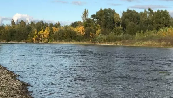 Река Стрый