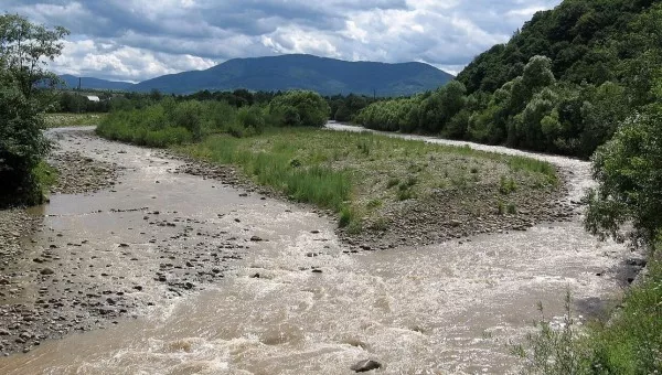 Река Свича