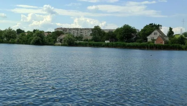 Тараща