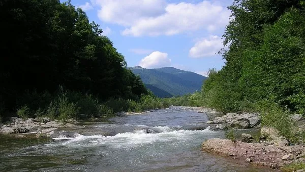 Река Теребля