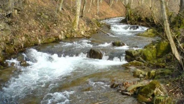 Река Веча