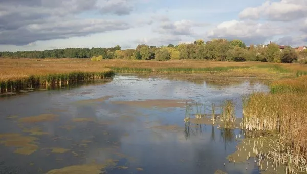 Река Здвиж