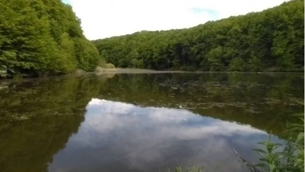 Жмеринка