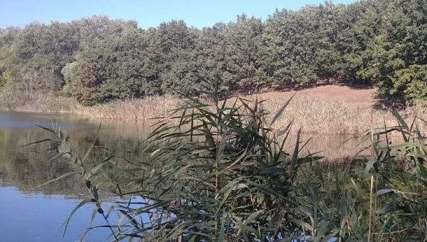 Златополь